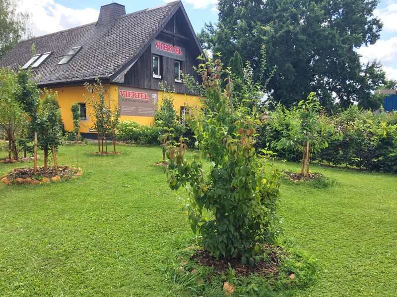 Bienenfreundliches Betriebsgelände Viertel Elektroinstallation