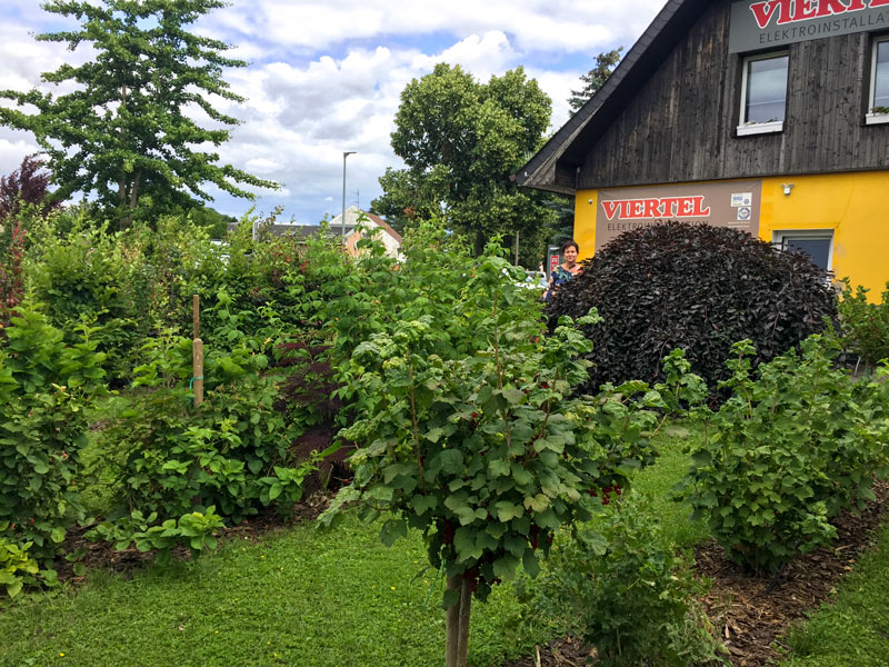 Bienenfreundliches Betriebsgelände Viertel Elektroinstallation